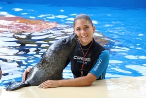 Mallorca: Marineland-Tickets mit Transfer ab dem Norden