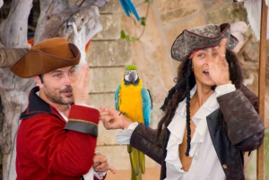 マヨルカ北部からの送迎付きマリンランドチケット