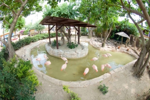 マヨルカ北部からの送迎付きマリンランドチケット