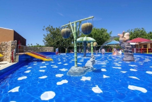 マヨルカ北部からの送迎付きマリンランドチケット