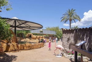 マヨルカ北部からの送迎付きマリンランドチケット