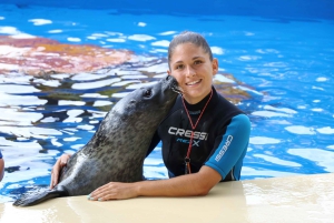 マヨルカ北部からの送迎付きマリンランドチケット