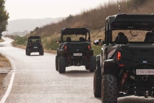 Mallorca: Mountain Buggy Adventure with Secret Coves Tour