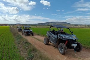 Mallorca: Mountain Buggy Adventure with Secret Coves Tour