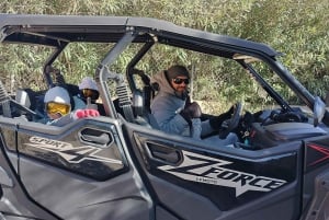 Mallorca: Mountain Buggy Adventure with Secret Coves Tour