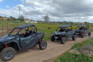 Mallorca: Mountain Buggy Adventure with Secret Coves Tour