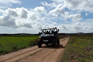 Mallorca: Mountain Buggy Adventure with Secret Coves Tour