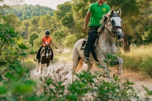 Mallorca: Mountain Horse Riding Experience w/ Brunch Option