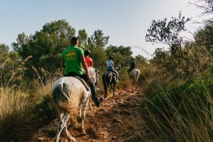 Mallorca : Expérience d'équitation de montagne avec option brunch