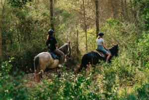 Mountain Horse Riding Experience w/ Brunch Option