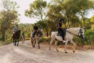 Mallorca : Expérience d'équitation de montagne avec option brunch