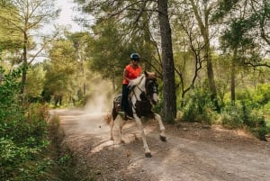 Mountain Horse Riding Experience met brunchoptie