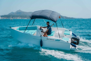 Mallorca: North Coast Afternoon Small Boat Charter