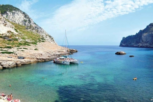 Mallorca: North Coast Catamaran Cruise with Lunch