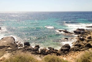 Mallorca: Off-Road Quad Biking, Snorkeling & Cliff Jumping