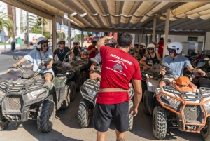 Mallorca: Quad Bike, Snorkel, Swim & Cliff Jump Tour