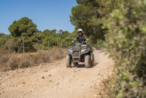 Mallorca: Quad Bike, Snorkel, Swim & Cliff Jump Tour