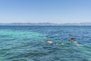Mallorca: Quad Bike, Snorkel, Swim & Cliff Jump Tour