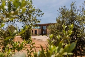 Mallorca: Oleo-tur 1/2 dag gademarked olivenmølle og smagning