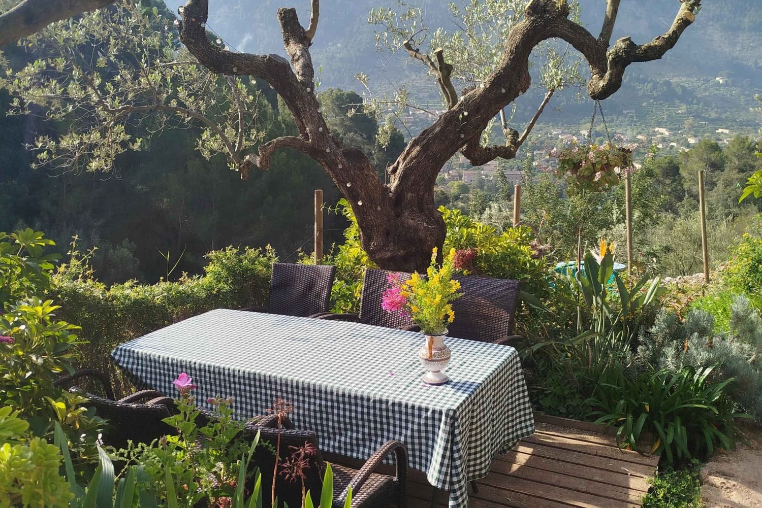Mallorca: clase de cocina de paella en la sierra de Tramuntana