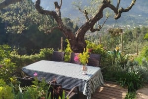 Mallorca: clase de cocina de paella en la sierra de Tramuntana