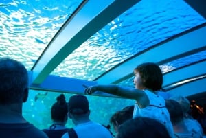 Mallorca: Palma Aquarium Ticket