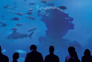 Mallorca: Palma Aquarium Ticket w/optional 3D Cinema