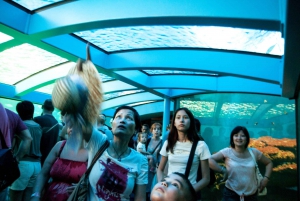 Mallorca: Palma Aquarium Tickets with Transfer