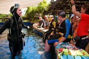 マヨルカ島：パルマ水族館（送迎・ガイド・優先入場付き）