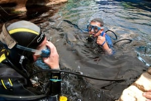 マヨルカ島：パルマ水族館（送迎・ガイド・優先入場付き）
