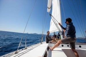 Mallorca: Palma Bay Cruise on a Magnificent 72-feet Sailboat