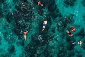 Majorka: Wycieczka łodzią po Palmie i nurkowanie z napojami w cenie