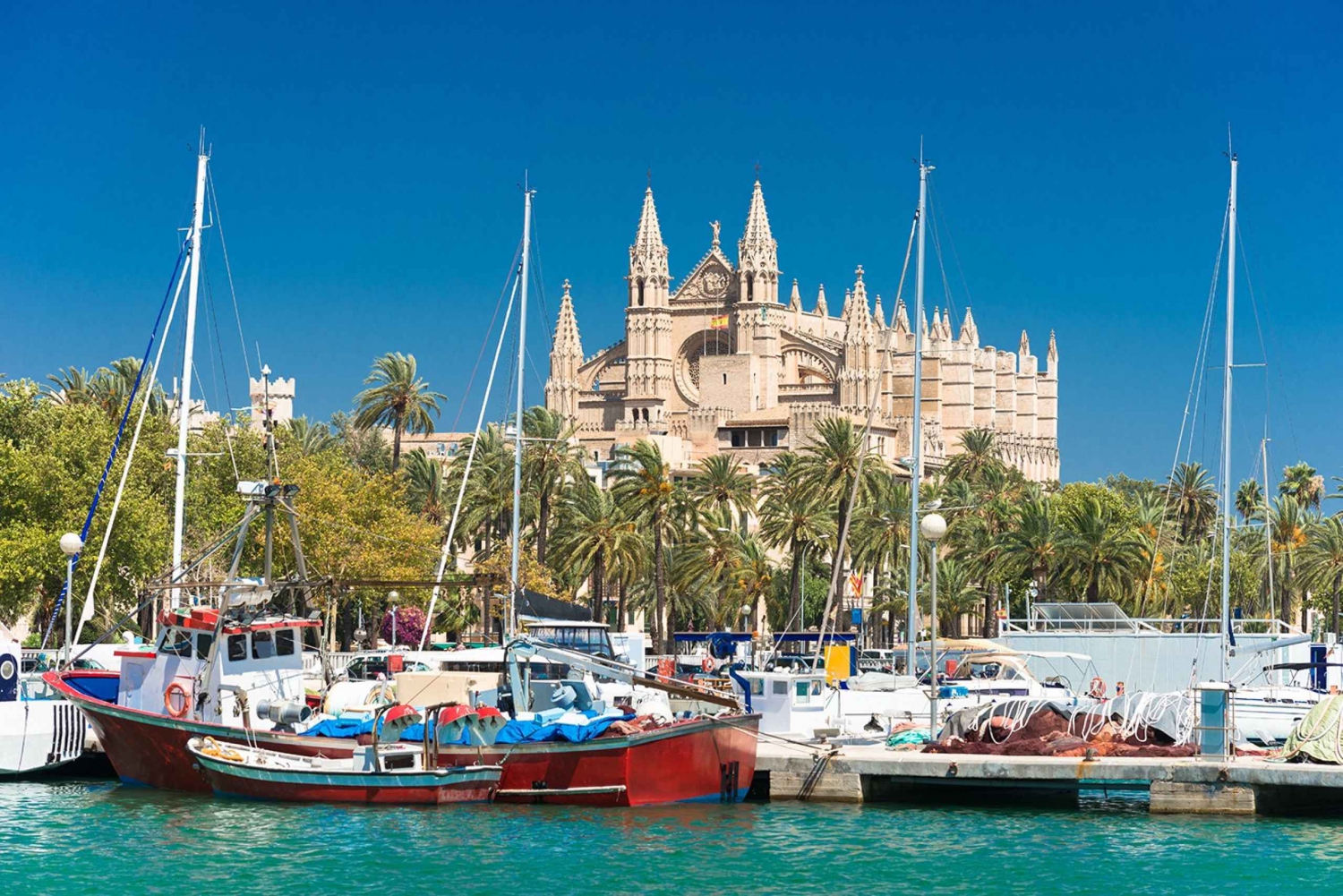 Palma de Mallorca: Palma & Boat Tour