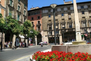 Palma de Mallorca: Palma & Boat Tour