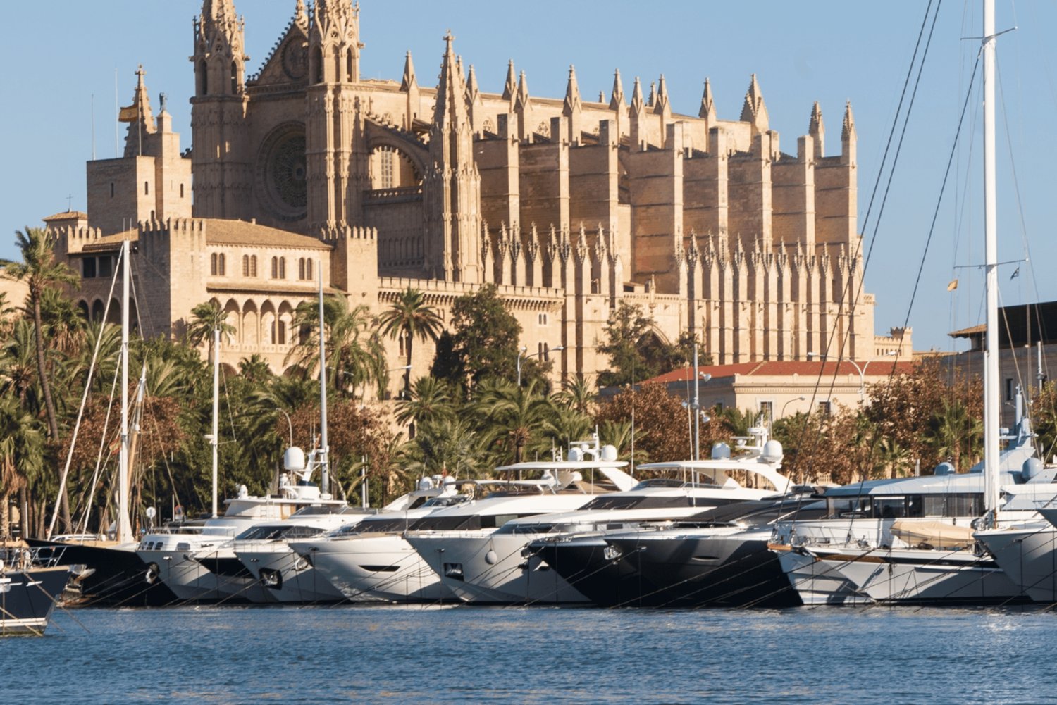 Maiorca: Cruzeiro pela cidade de Palma com pontos turísticos icónicos