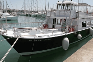 Mallorca: Palma City Cruise med ikoniska sevärdheter