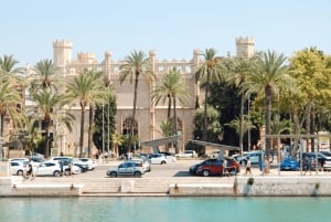 Mallorca: Palma City Cruise med ikoniska sevärdheter