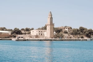 Mallorca: Palma City Cruise med ikoniska sevärdheter