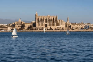 Mallorca: Palma City Cruise med ikoniska sevärdheter