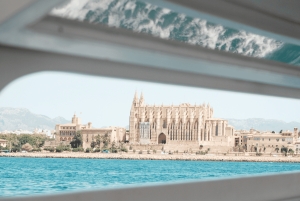 Mallorca: Palma City Cruise med ikoniska sevärdheter
