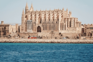 Mallorca: Palma City Cruise med ikoniska sevärdheter