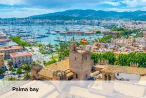 Mallorca: Passe turístico com tudo incluído para Palma de Mallorca