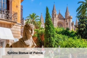 Mallorca: Palma de Mallorca Pase turístico todo incluido
