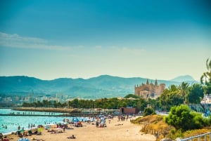 Majorka: Palma de Mallorca All-Inclusive karnet miejski