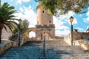 Mallorca: Palma Highlights Electric Car Tour