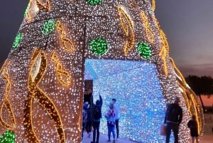 Maiorca: passeggiata invernale a Palma con luci natalizie