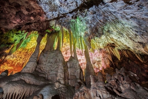 Mallorca: Caves Tour & Dinosaurland from the South