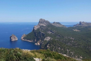 Majorka / Peguera: półdniowa wycieczka Slingshotem