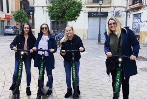Mallorca: Premium E-Scooter Rental with Delivery Option