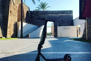 Mallorca: Premium E-Scooter Rental with Delivery Option